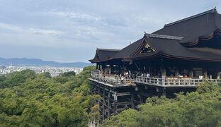 弾丸！高速バスで行く京都・滋賀旅行