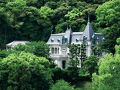 想い出の旅（２０）　　　　　　　　　　　　初夏の四国路（６）愛媛