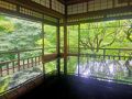 真夏の京都で緑を浴びる寺社仏閣巡り1泊2日