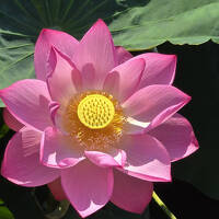 2025年7月27日～JREP特典グリーン車と長野電鉄旧ロマンスカー旧成田EXで行く長野～小布施の旅