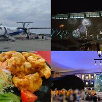 久々の遠出は憧れの大分県&#9832;杉乃井ホテルへ