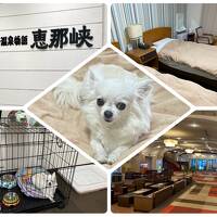 ペットと行く宿　大江戸温泉物語恵那峡わんちゃんスタンダードツイン　３バブリーでレトロな館内案内の巻