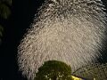 長島温泉と花火