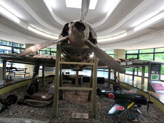 25年夏　鹿児島　知覧特攻平和会館へ行きました。