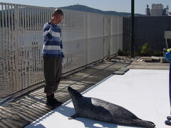 避暑しに北海道へ＼(;´Д｀)／！　アザラシ触れ合い＆温根湯温泉と瀬戸瀬温泉へ