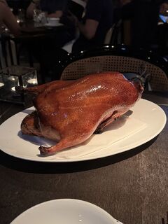 香港・シドニー旅行記 Vol.1 香港編