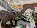 涼みに行った幕張新都心