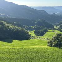 座布団ペラペラは要注意！！　大分佐賀の2泊3日　後編