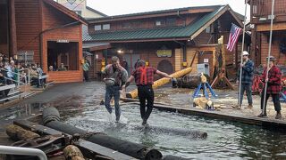 ホランドアメリカ