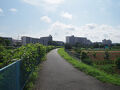 恩田川界隈