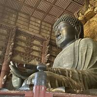 ‘25梅雨 古都の旅　②「変なホテル　奈良」／ 東大寺・奈良公園