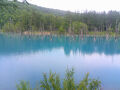 初夏の北海道旅行・青い池