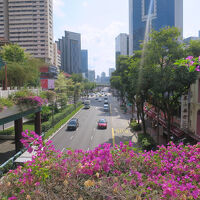 授業前においし～い朝粥＆ランチはミシュラン鶏飯♪戸惑いだらけの授業終え小籠包☆シンガポール留学の旅3