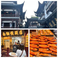 2025年夏の上海旅行：アウトレットで買い物、グルメは大失敗?