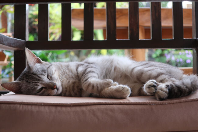 2025 至福の宿とバリ腹、ケチャ考