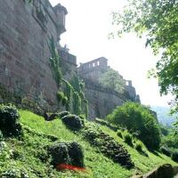 ハイデルベルク