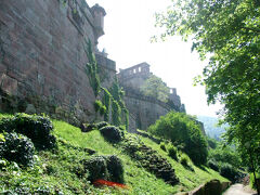 37.ハイデルベルク城