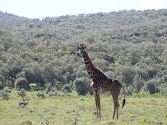 ボートサファリ