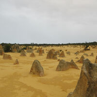 ２０２５年8月　パース5泊7日滞在記  その4