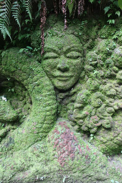 2025 名もなき遺跡？（Ubud）