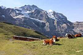 2025　スイス　山岳ホテルと氷河特急エクセレンスクラス（4/4）　逆さユングフラウ　ピラトゥス山　チューリッヒ