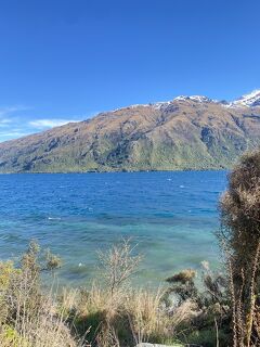ニュージーランド南島