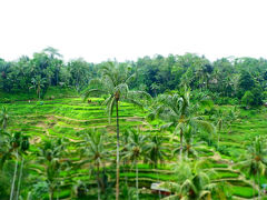 バリ☆6泊8日　前編