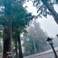 【前編】とにかく三重に泊まりたくて☆伊勢神宮外宮参拝とトラベラーさんと乾杯♪♪