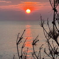 ２０２５年８月２回目の熊野旅行（松本峠など）