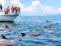 【四国九州 原付旅】天草でイルカウォッチング＆キリシタン教会巡り！