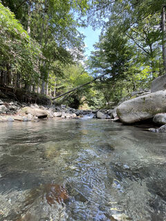 キャンプ・バーベキュー
