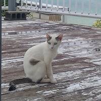 雨のち晴れのち雨、初めての沖縄のんびりひとり旅（5）