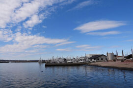 波崎漁港周辺でバードウォッチング [2023](2)