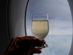 マレーシア航空ビジネスクラスで行くバリ島　14．エピローグ　ラウンジと機内を楽しんで帰国