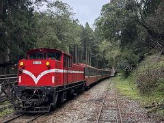 2025年夏　台湾夫婦旅　嘉義・阿里山・台北【阿里山・台北】4泊5日後編