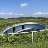 瀬戸国際芸術祭2025夏２　直島新美術館とベネッセハウス オーバル