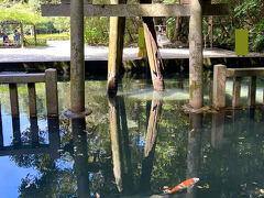 海山湖を短時間で廻れる茨城小旅行２神の池・大海原・水郷