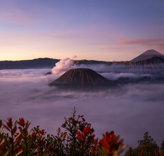 インドネシア02 : まるでAI素材なブロモ山サンライズツアー! ウマに乗ってアレが再び
