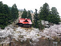 秋田県の桜永署巡り（2日目）