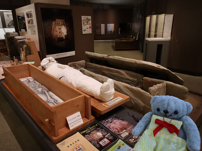 自転車で巡る松山2025(9)入館料100円とは思えない「松山市考古館」