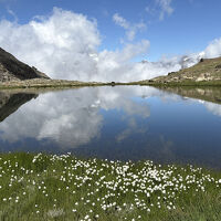 2025.06＆07　三度目のスイスも山歩き三昧「退職記念旅行(仮)」【１０】…逆さマッターホルンとアップルパイ