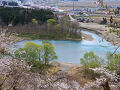秋田県の桜の桜めぐり（3日目）