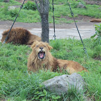 大分　2012年６月