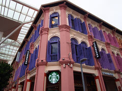 バリ島からシンガポールで一泊して帰国する。パンダ、スタバ、バクテー、ジュエルを堪能しました！