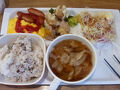 熊本県の旅行記
