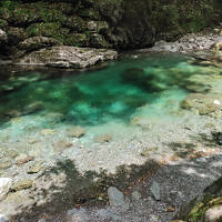 猫探し【高知】仁淀ブルー 編