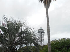 サムエル・コッキング苑