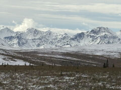 デナリ国立公園バスツアー Tundra Wilderness まさかのアクシデントで立ち往生