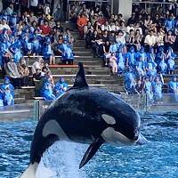 千葉外房・1泊2日で魚尽くし旅