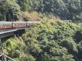 キュランダ高原列車のリベンジ